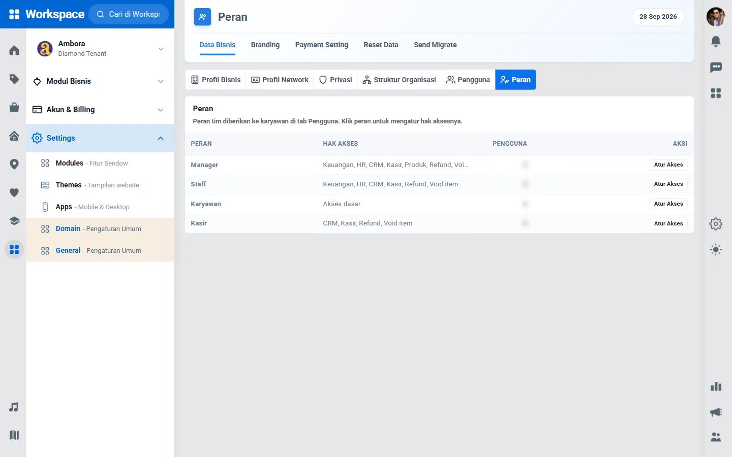 Tab Peran di Settings General