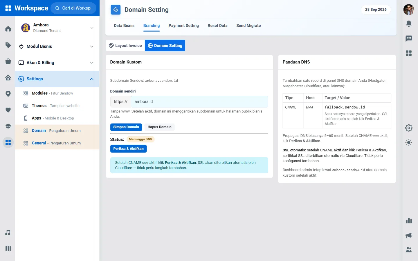 Halaman Domain Setting di Workspace